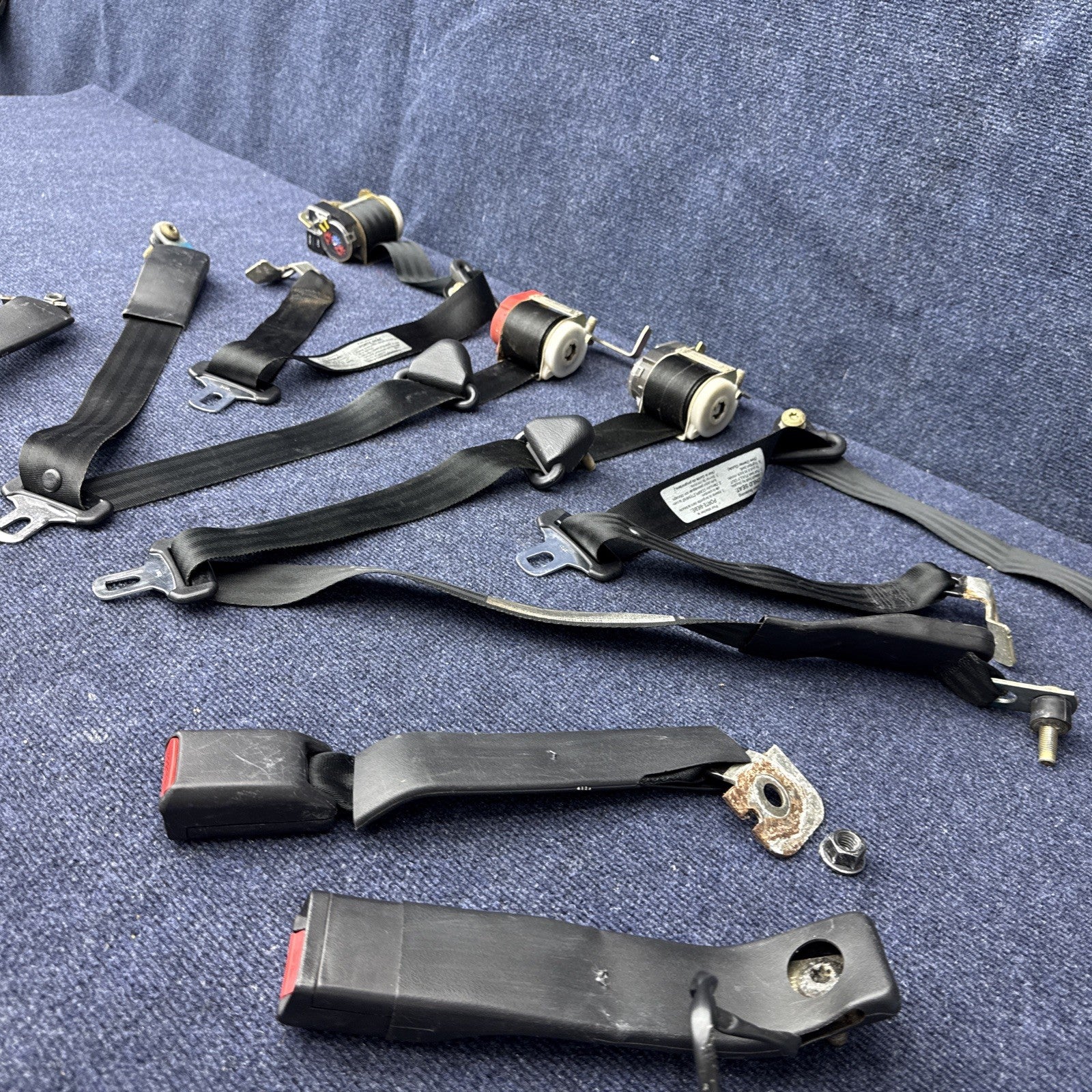 1994 Mustang Svt Cobra Coupe Complete Black Seatbelt Set Front Rear Rh Lh OEM