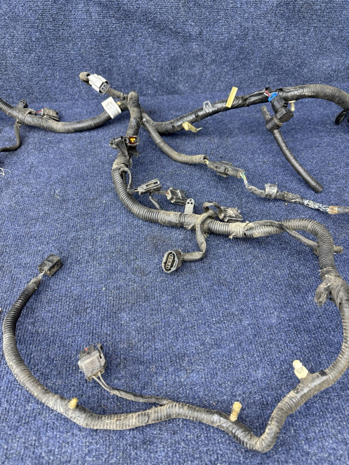 1998 FORD MUSTANG SVT Cobra ENGINE MOTOR ELECTRICAL WIRING WIRE HARNESS 4.6 DOHC