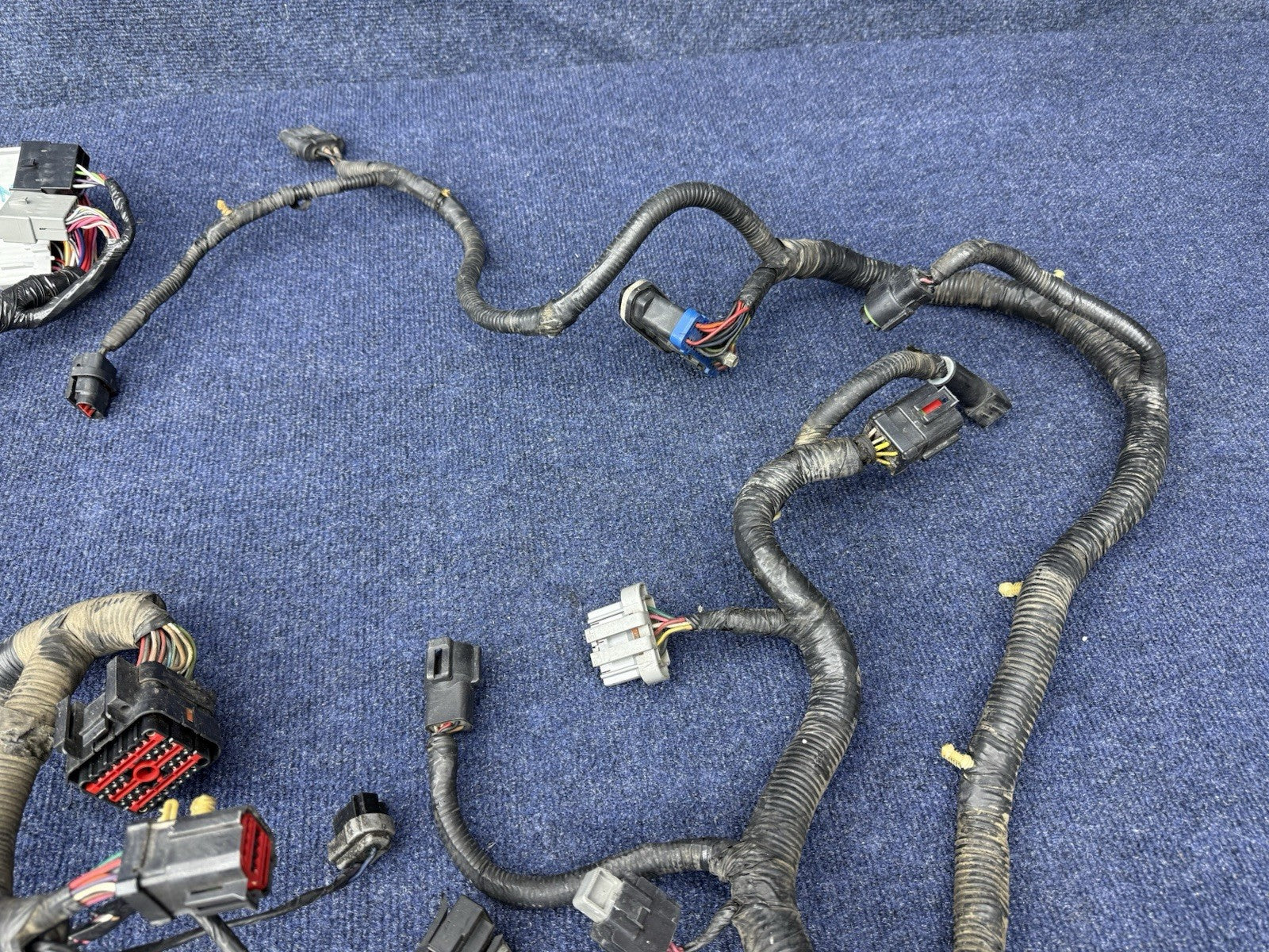1994 1995 Ford Mustang Cobra Svt Gt 5.0 Engine Computer Wiring Harness OEM Ecu