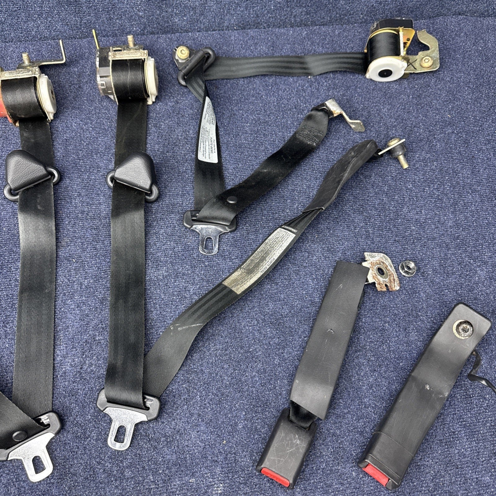 1994 Mustang Svt Cobra Coupe Complete Black Seatbelt Set Front Rear Rh Lh OEM