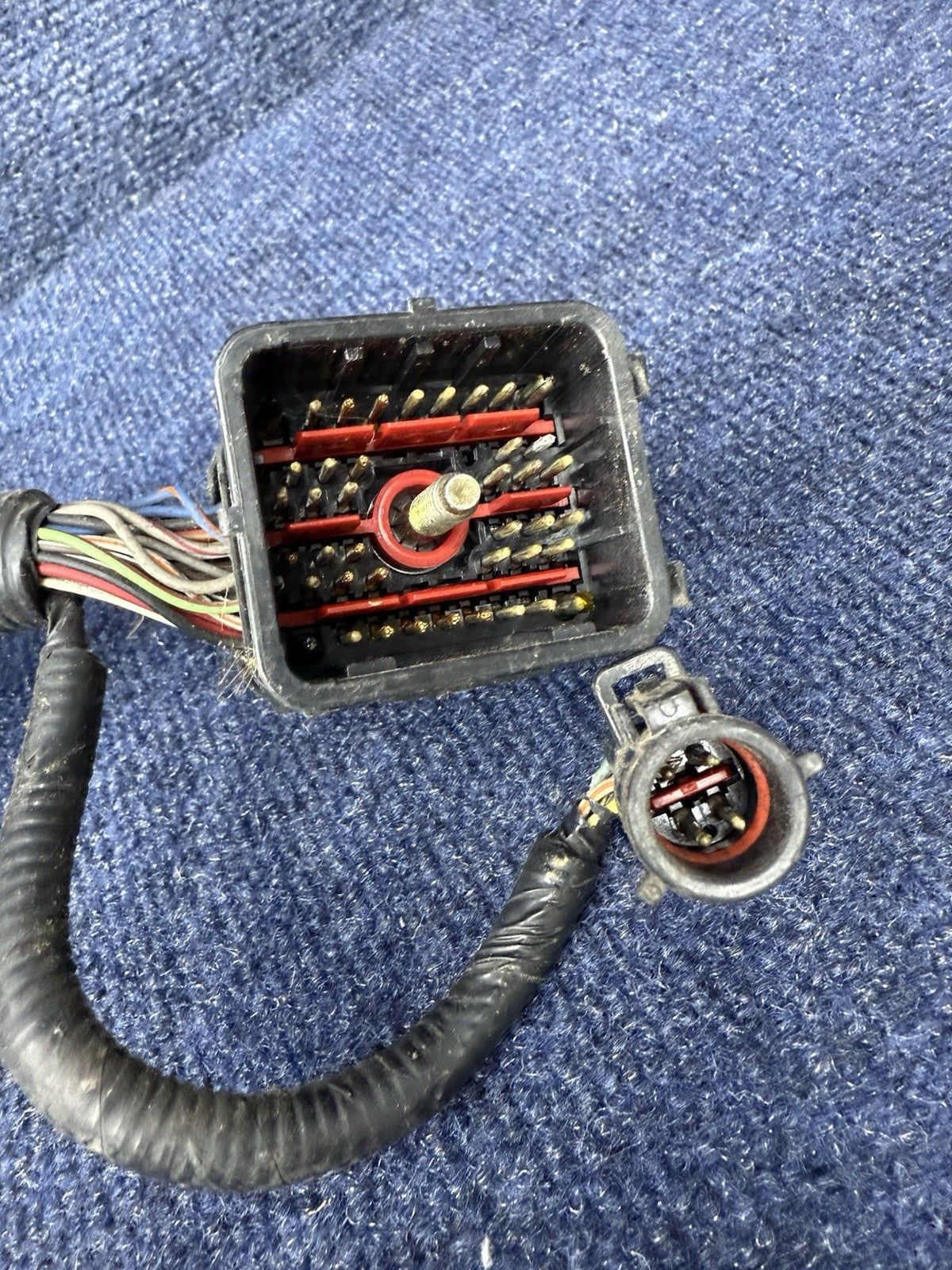 1998 FORD MUSTANG SVT Cobra ENGINE MOTOR ELECTRICAL WIRING WIRE HARNESS 4.6 DOHC