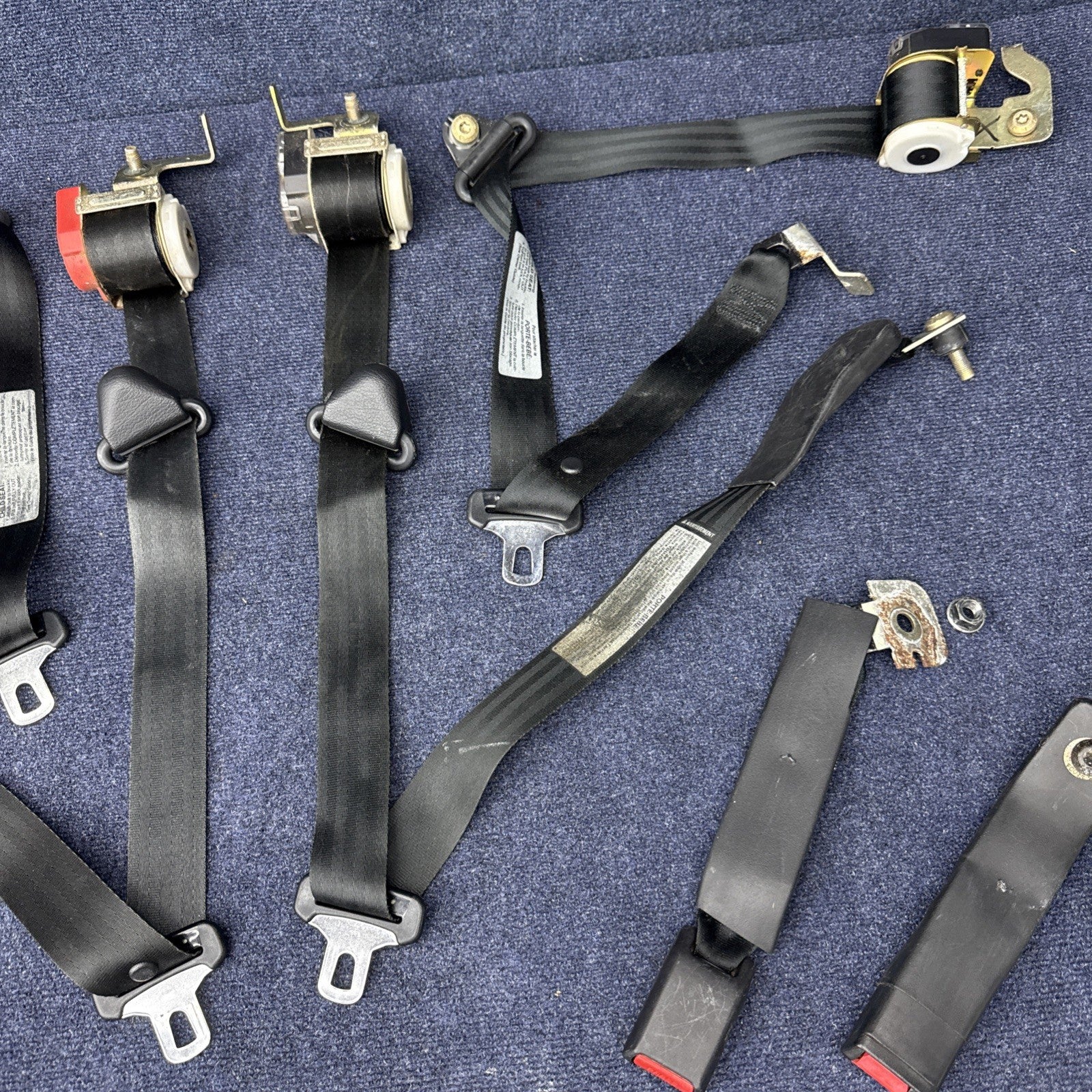 1994 Mustang Svt Cobra Coupe Complete Black Seatbelt Set Front Rear Rh Lh OEM