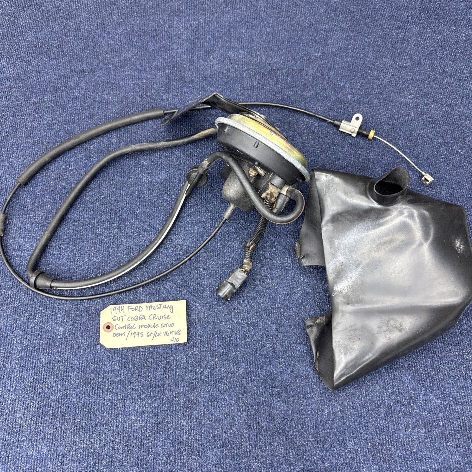 1994 Ford Mustang  Svt Cobra Cruise Control Module Servo OEM Factory 1995 Gt V6