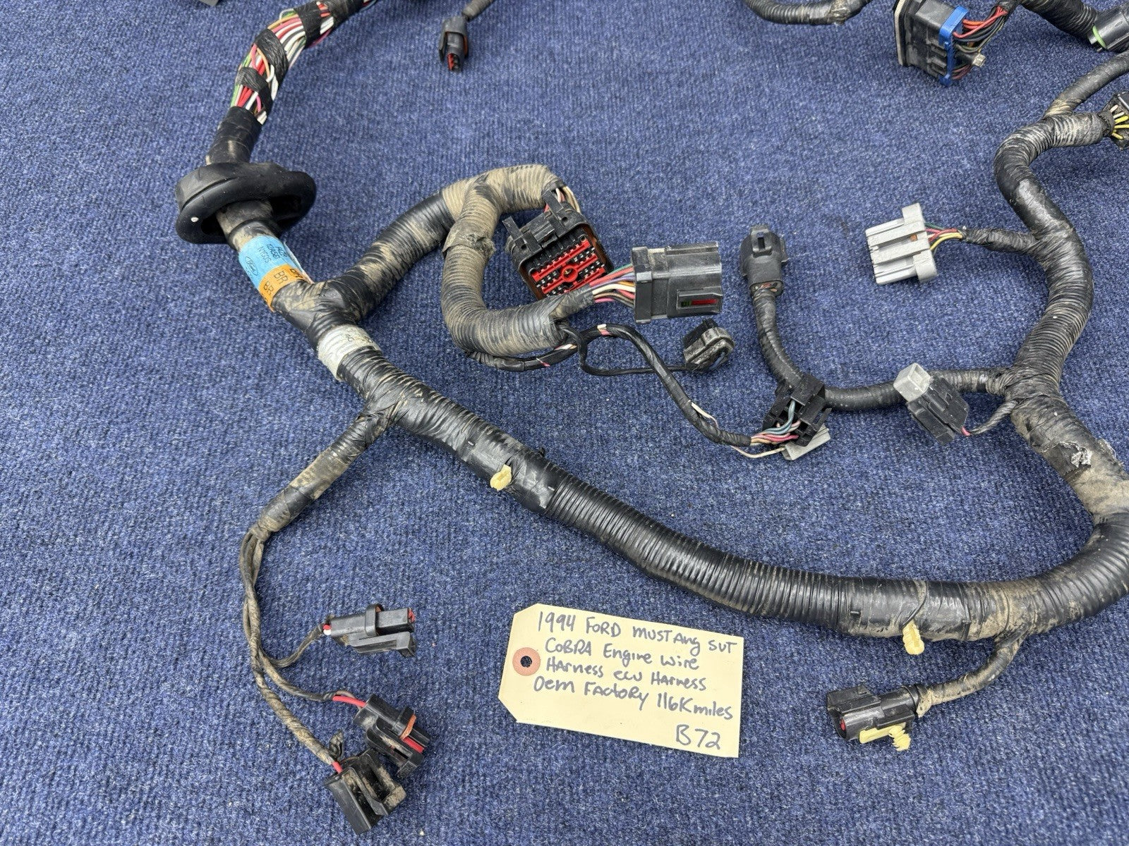 1994 1995 Ford Mustang Cobra Svt Gt 5.0 Engine Computer Wiring Harness OEM Ecu
