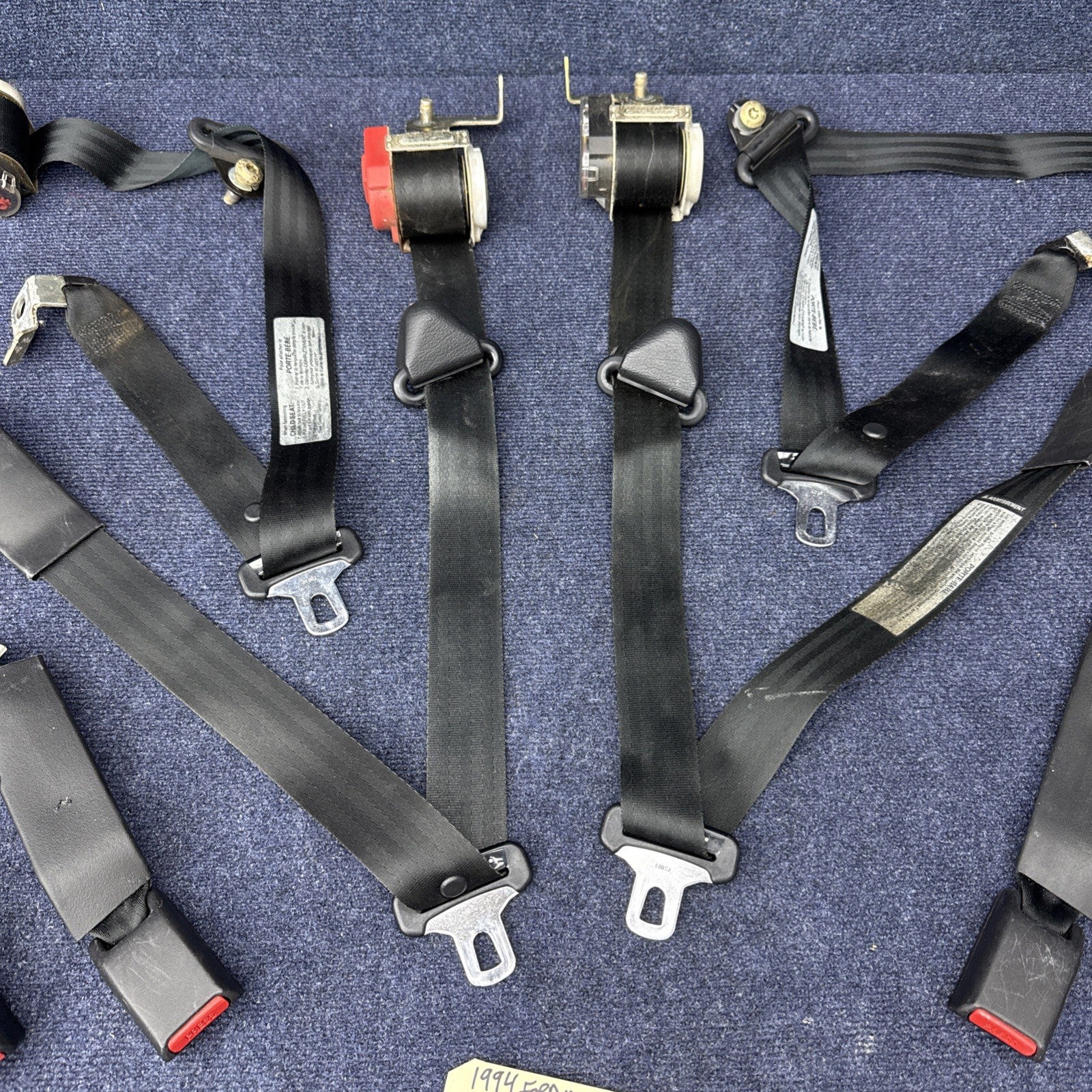 1994 Mustang Svt Cobra Coupe Complete Black Seatbelt Set Front Rear Rh Lh OEM