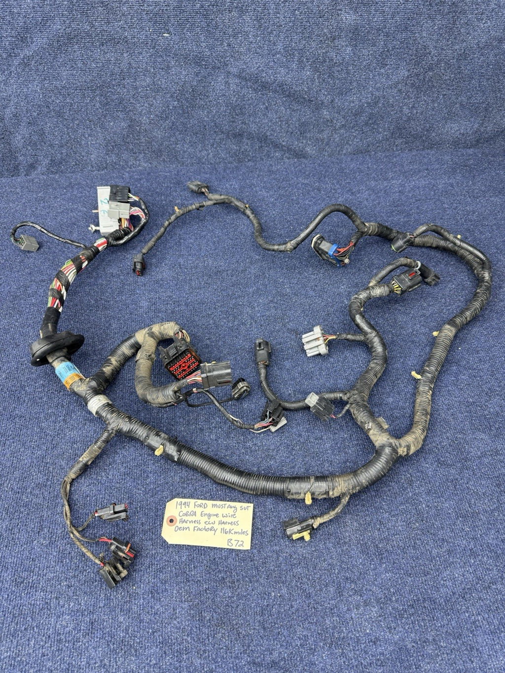 1994 1995 Ford Mustang Cobra Svt Gt 5.0 Engine Computer Wiring Harness OEM Ecu