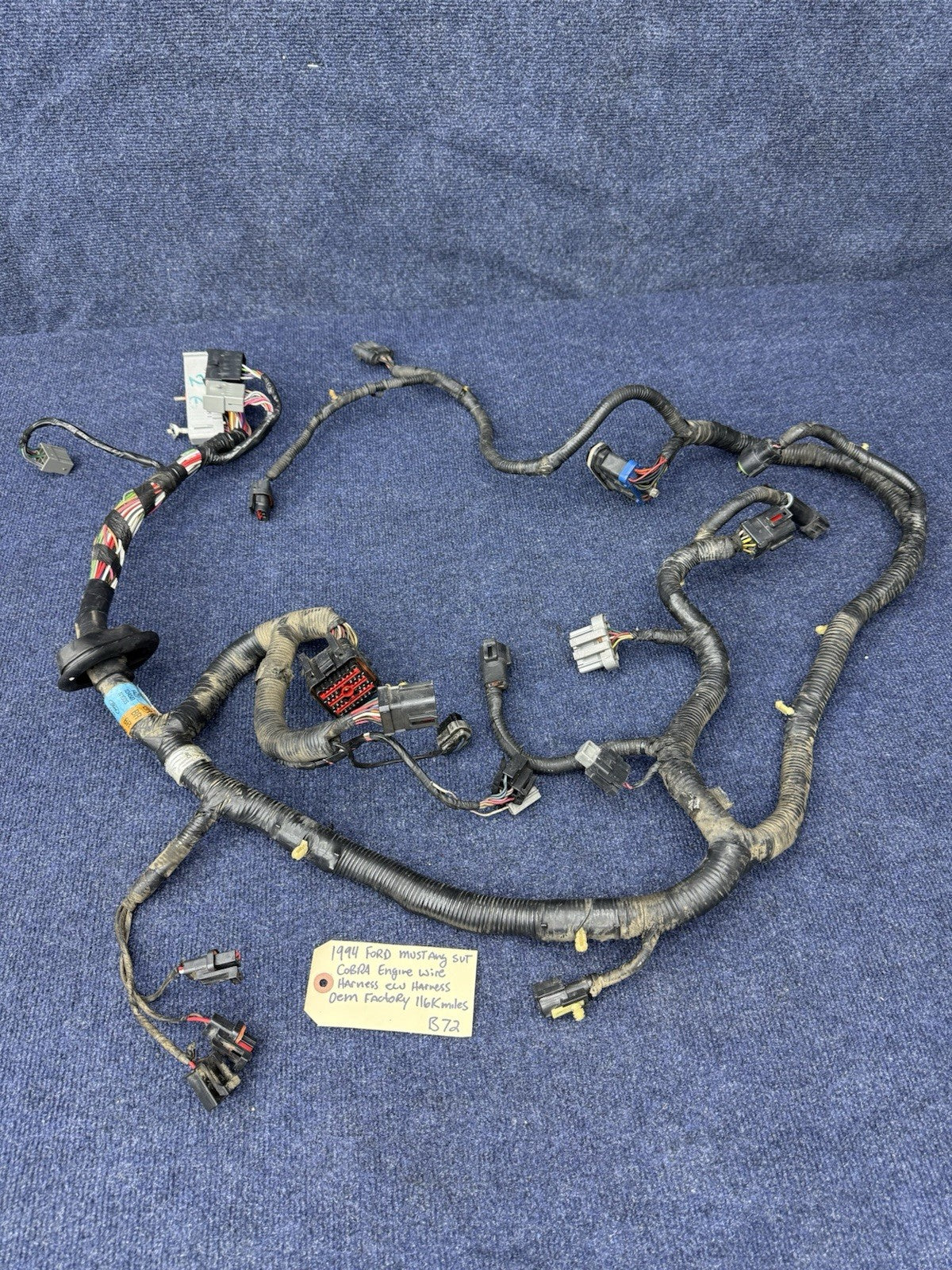 1994 1995 Ford Mustang Cobra Svt Gt 5.0 Engine Computer Wiring Harness OEM Ecu