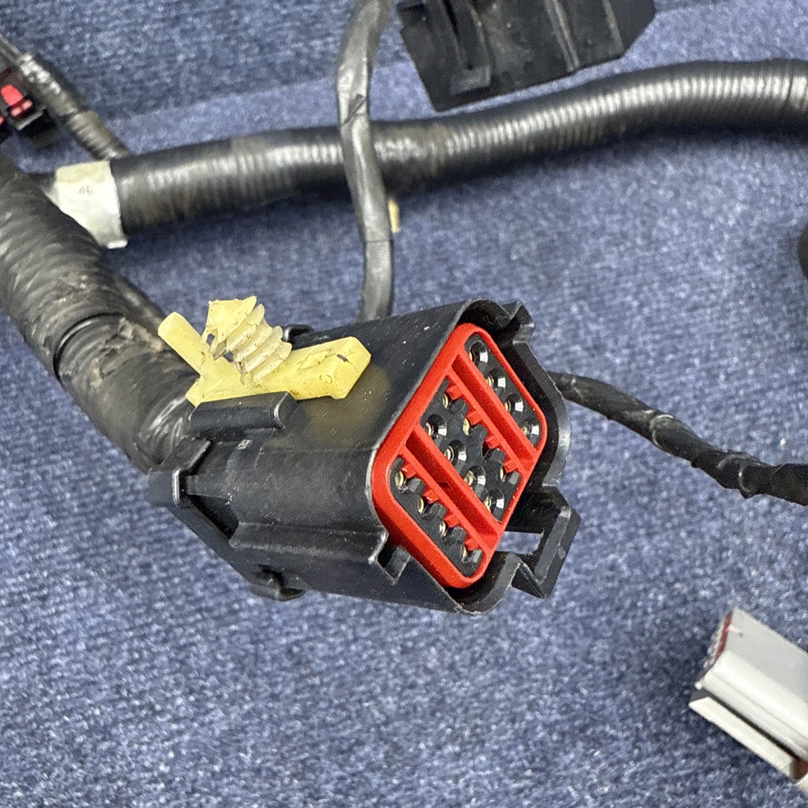 1994 Ford Mustang Cobra Svt Engine Computer Wiring Harness F4zb-12a581-n160s BR
