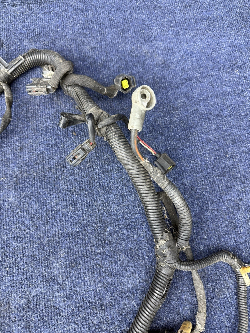 1998 FORD MUSTANG SVT Cobra ENGINE MOTOR ELECTRICAL WIRING WIRE HARNESS 4.6 DOHC