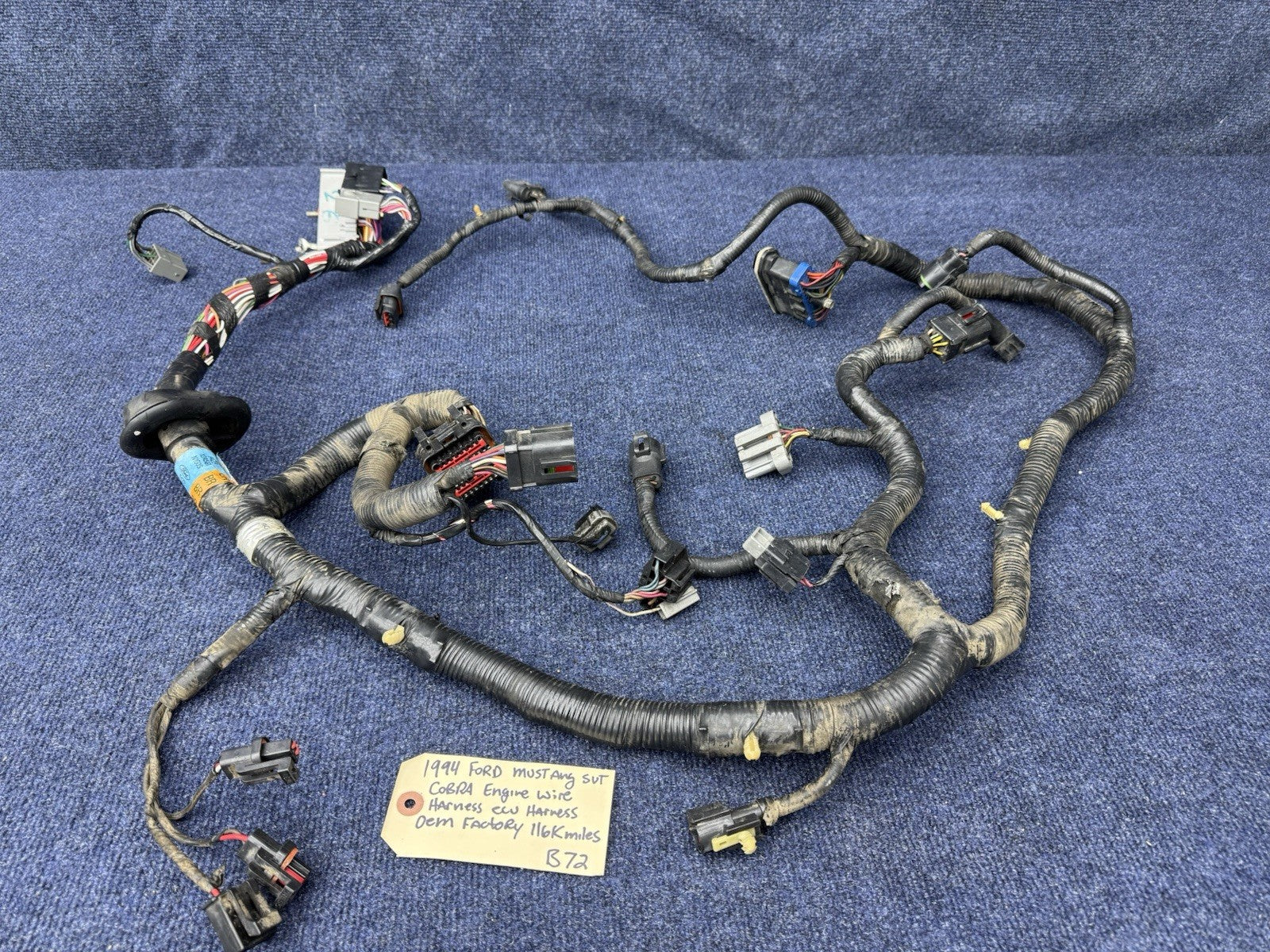 1994 1995 Ford Mustang Cobra Svt Gt 5.0 Engine Computer Wiring Harness OEM Ecu