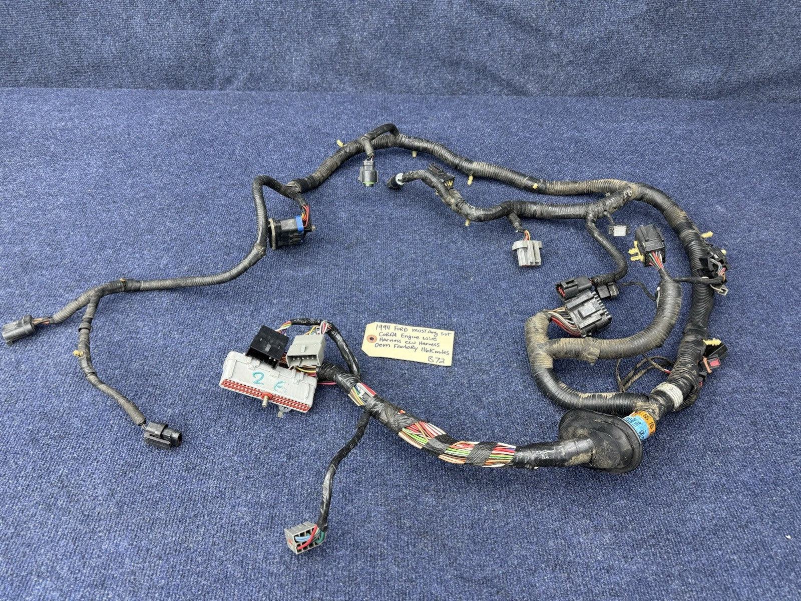 1994 1995 Ford Mustang Cobra Svt Gt 5.0 Engine Computer Wiring Harness OEM Ecu