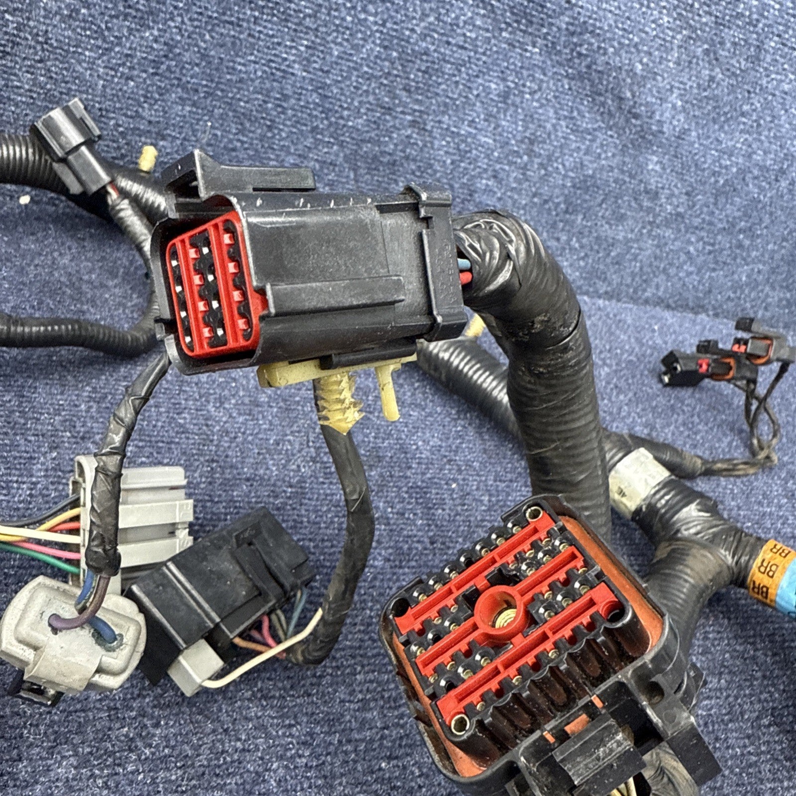 1994 Ford Mustang Cobra Svt Engine Computer Wiring Harness F4zb-12a581-n160s BR
