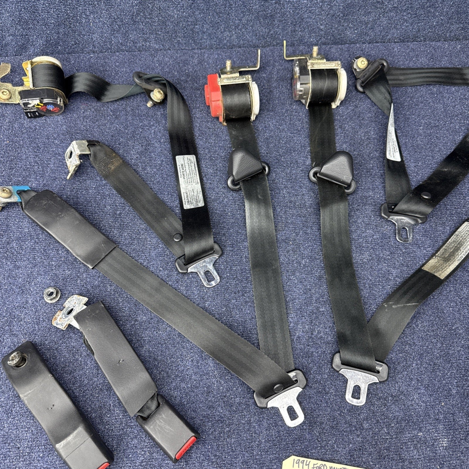 1994 Mustang Svt Cobra Coupe Complete Black Seatbelt Set Front Rear Rh Lh OEM