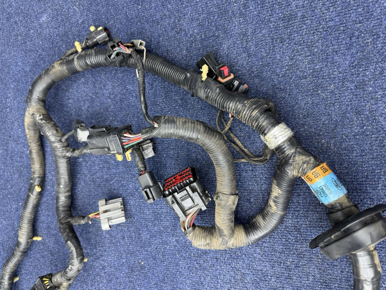 1994 1995 Ford Mustang Cobra Svt Gt 5.0 Engine Computer Wiring Harness OEM Ecu