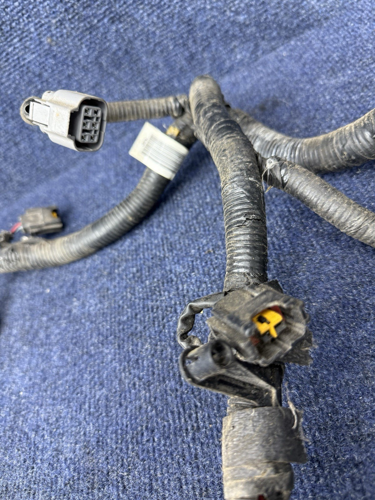 1998 FORD MUSTANG SVT Cobra ENGINE MOTOR ELECTRICAL WIRING WIRE HARNESS 4.6 DOHC